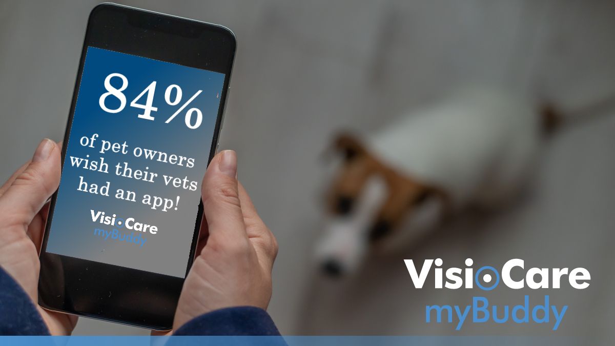 REASSURE CLIENTS WITH NEW HOSPITALISATION APP FROM VISIOCARE’S MYBUDDY PET APP